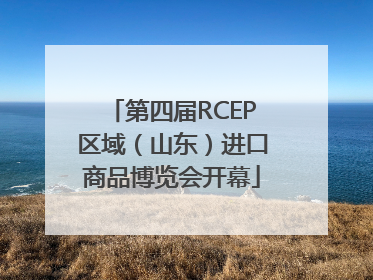 第四届RCEP区域（山东）进口商品博览会开幕