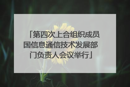 第四次上合组织成员国信息通信技术发展部门负责人会议举行
