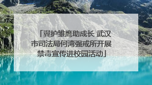 翼护雏鹰助成长 武汉市司法局何湾强戒所开展禁毒宣传进校园活动