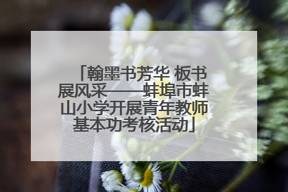 翰墨书芳华 板书展风采——蚌埠市蚌山小学开展青年教师基本功考核活动