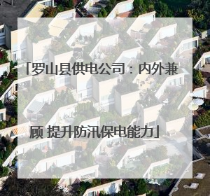 罗山县供电公司：内外兼顾 提升防汛保电能力