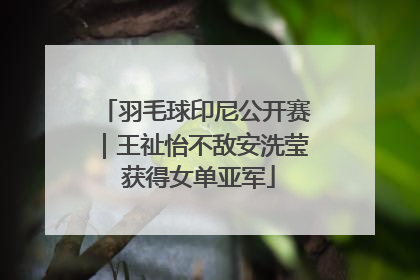 羽毛球印尼公开赛｜王祉怡不敌安洗莹 获得女单亚军