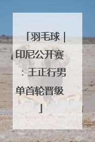 羽毛球｜印尼公开赛：王正行男单首轮晋级
