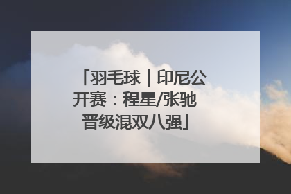 羽毛球｜印尼公开赛：程星/张驰晋级混双八强
