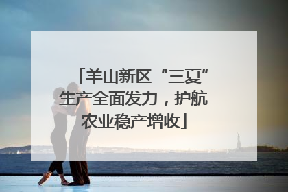 羊山新区“三夏”生产全面发力，护航农业稳产增收