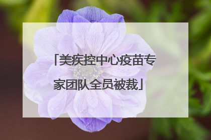 美疾控中心疫苗专家团队全员被裁