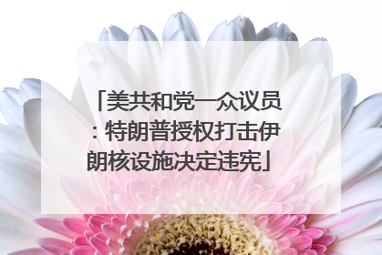 美共和党一众议员：特朗普授权打击伊朗核设施决定违宪
