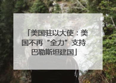 美国驻以大使：美国不再“全力”支持巴勒斯坦建国