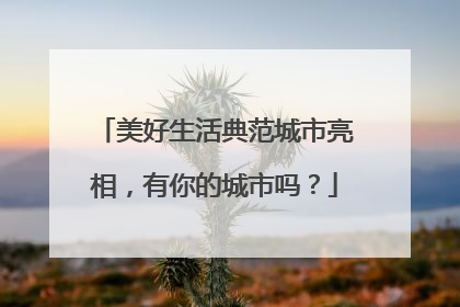 美好生活典范城市亮相，有你的城市吗？