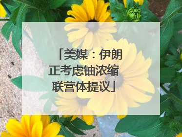 美媒：伊朗正考虑铀浓缩联营体提议