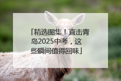 精选图集！直击青岛2025中考，这些瞬间值得回味