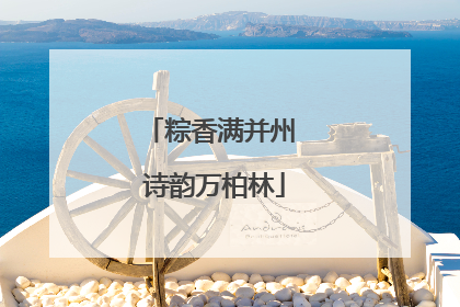 粽香满并州 诗韵万柏林