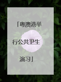 粤澳港举行公共卫生演习