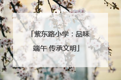 紫东路小学：品味端午 传承文明