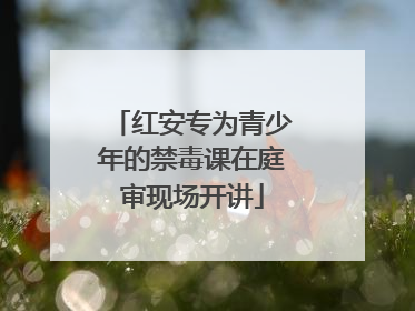 红安专为青少年的禁毒课在庭审现场开讲