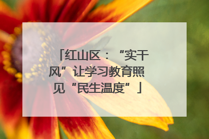红山区：“实干风”让学习教育照见“民生温度”