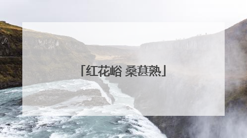 红花峪 桑葚熟