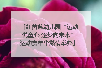 红黄蓝幼儿园“运动悦童心 逐梦向未来”运动嘉年华燃情举办
