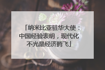 纳米比亚驻华大使：中国经验表明，现代化不光是经济腾飞