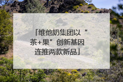 维他奶集团以“茶+果”创新基因连推两款新品