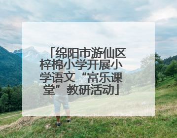 绵阳市游仙区梓棉小学开展小学语文“富乐课堂”教研活动