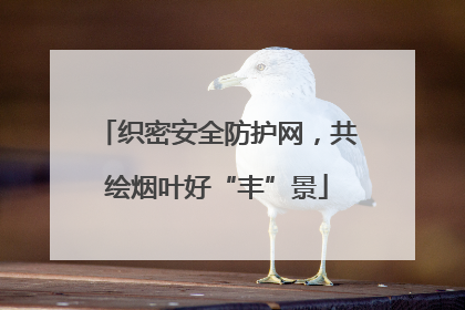 织密安全防护网，共绘烟叶好“丰”景