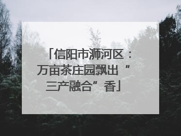 信阳市浉河区：万亩茶庄园飘出“三产融合”香