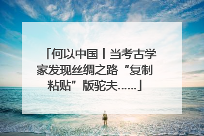 何以中国丨当考古学家发现丝绸之路“复制粘贴”版驼夫……