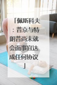 佩斯科夫：普京与特朗普尚未就会面事宜达成任何协议
