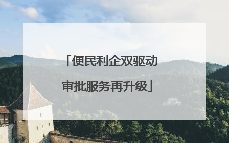 便民利企双驱动 审批服务再升级