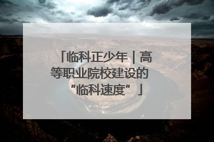 临科正少年｜高等职业院校建设的“临科速度”