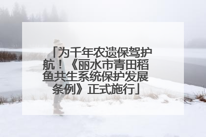 为千年农遗保驾护航！《丽水市青田稻鱼共生系统保护发展条例》正式施行