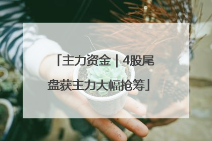主力资金｜4股尾盘获主力大幅抢筹