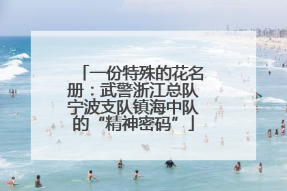 一份特殊的花名册：武警浙江总队宁波支队镇海中队的“精神密码”