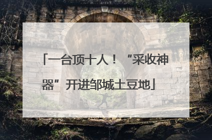 一台顶十人！“采收神器”开进邹城土豆地