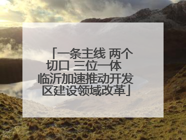 一条主线 两个切口 三位一体 临沂加速推动开发区建设领域改革