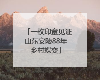 一枚印章见证山东安陵88年乡村蝶变