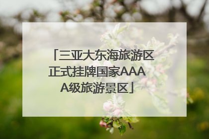 三亚大东海旅游区正式挂牌国家AAAA级旅游景区