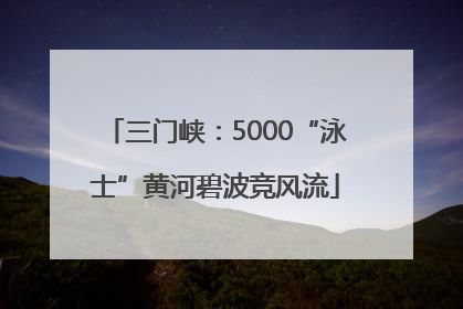 三门峡：5000“泳士”黄河碧波竞风流