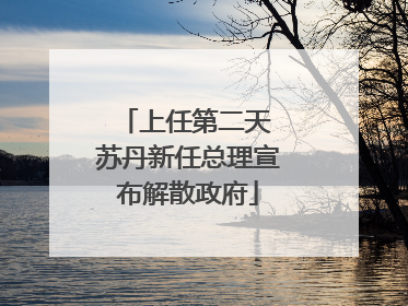 上任第二天 苏丹新任总理宣布解散政府