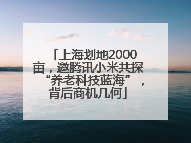 上海划地2000亩，邀腾讯小米共探“养老科技蓝海”，背后商机几何
