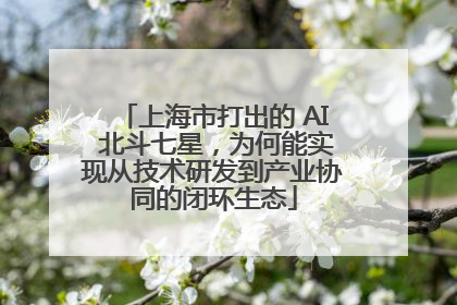上海市打出的 AI 北斗七星，为何能实现从技术研发到产业协同的闭环生态