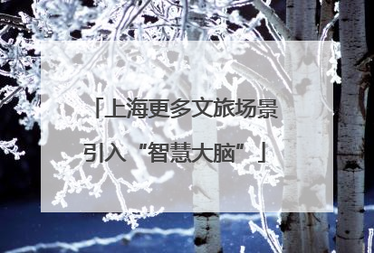 上海更多文旅场景引入“智慧大脑”