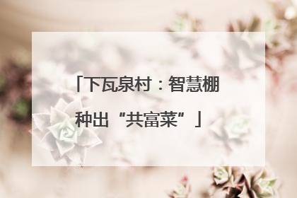 下瓦泉村：智慧棚种出“共富菜”
