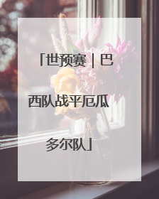 世预赛｜巴西队战平厄瓜多尔队