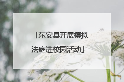 东安县开展模拟法庭进校园活动