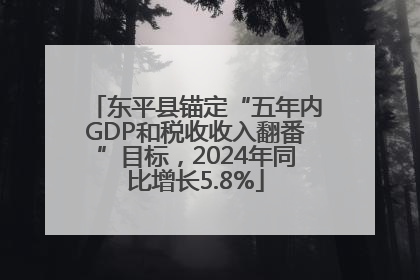 东平县锚定“五年内GDP和税收收入翻番”目标，2024年同比增长5.8%