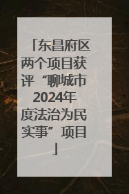 东昌府区两个项目获评“聊城市2024年度法治为民实事”项目