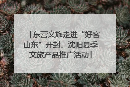 东营文旅走进“好客山东”开封、沈阳夏季文旅产品推广活动