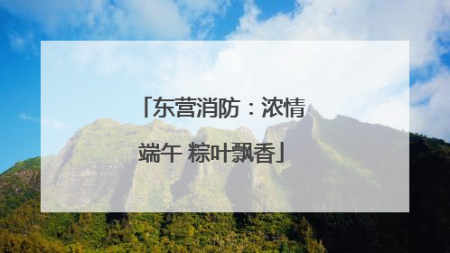 东营消防：浓情端午 粽叶飘香